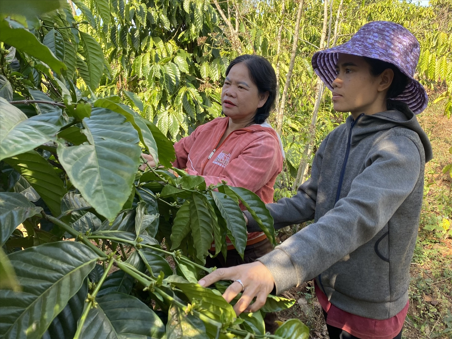 Tiếng cồng chiêng gọi Xuân về Tiếng cồng chiêng gọi Xuân về