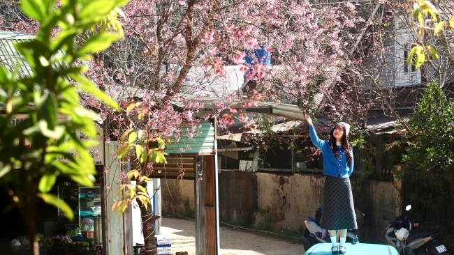 Lâm Đồng: Ðiểm sáng bảo tồn văn hóa dân tộc giữa đại ngàn Lạc Dương