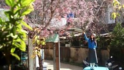 Lâm Đồng: Ðiểm sáng bảo tồn văn hóa dân tộc giữa đại ngàn Lạc Dương