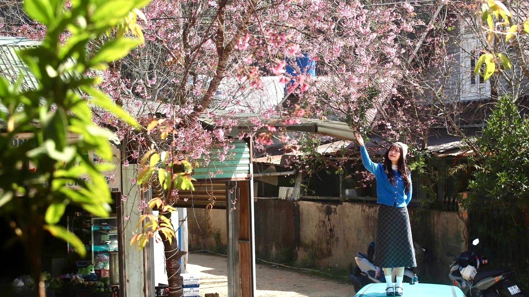 Lâm Đồng: Ðiểm sáng bảo tồn văn hóa dân tộc giữa đại ngàn Lạc Dương