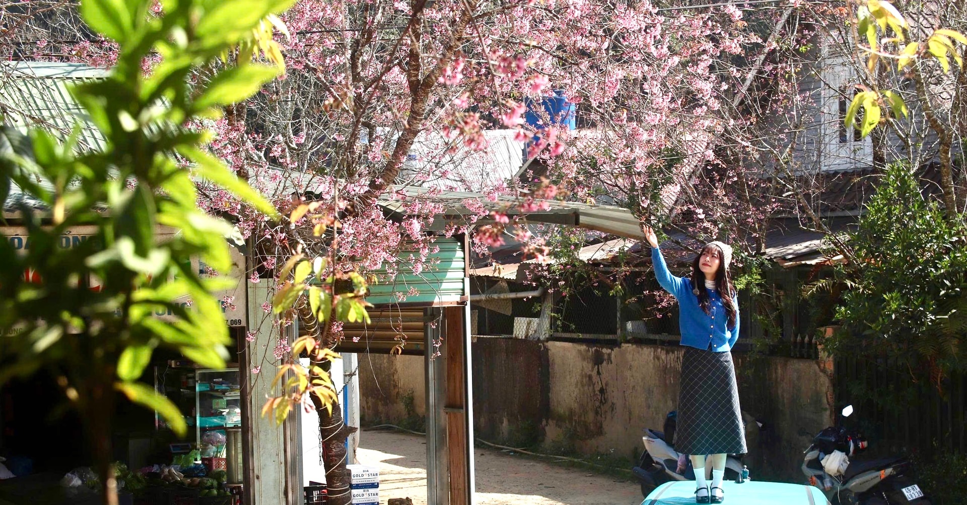 Lâm Đồng: Ðiểm sáng bảo tồn văn hóa dân tộc giữa đại ngàn Lạc Dương