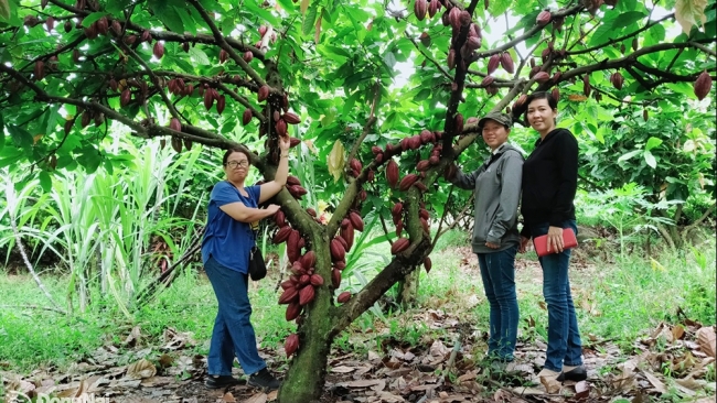 Đồng Nai: Phát triển mô hình nông nghiệp kết hợp du lịch