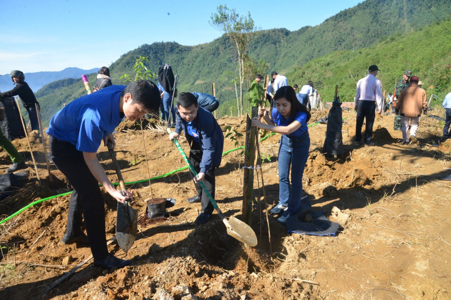 BSR tham gia Tết trồng cây “Đời đời nhớ ơn Bác Hồ” tại huyện Trà Bồng