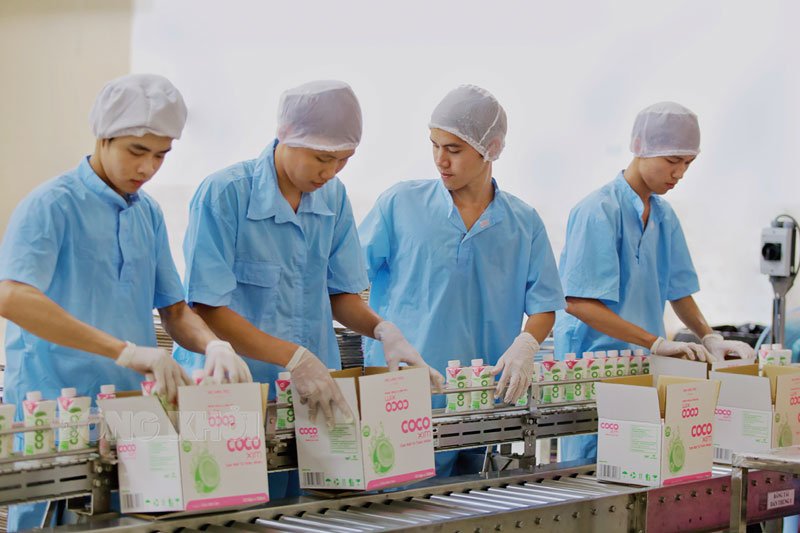Sản xuất nước dừa xuất khẩu tại Công ty cổ phần Xuất nhập khẩu Bến Tre (Betrimex).