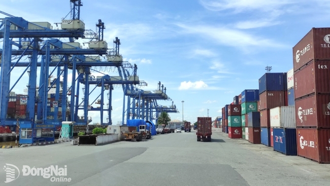 Đồng Nai: Cước vận tải biển giảm sâu, doanh nghiệp bớt lo