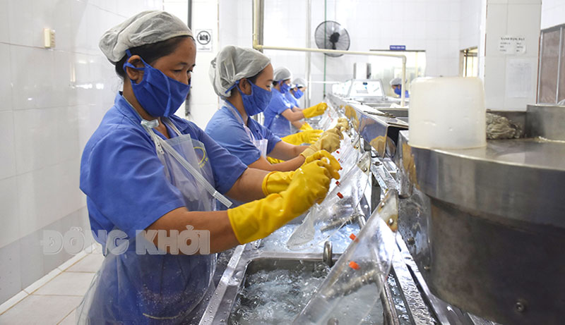 Sản xuất mặt nạ dừa xuất khẩu tại Công ty TNHH Chế biến sản phẩm dừa Cửu Long, TP. Bến Tre.