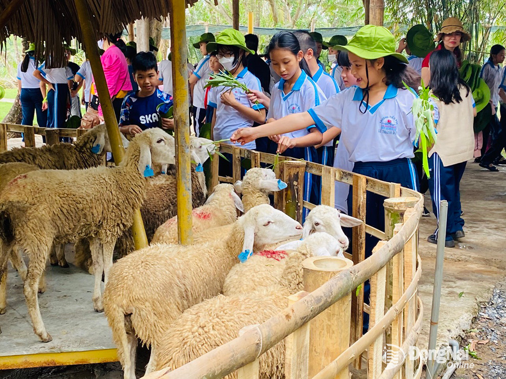 Khai thác lợi thế du lịch địa phương