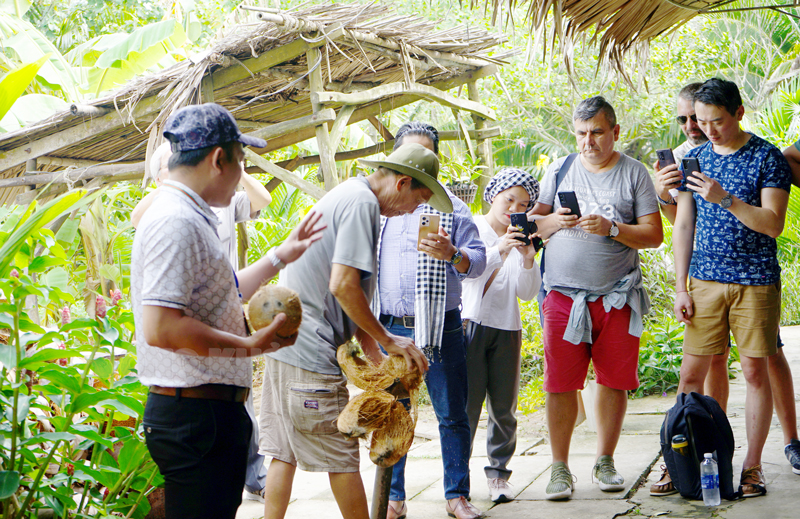 Du khách quốc tế xem quy trình lột dừa tại điểm du lịch Nam Bộ (TP. Bến Tre).