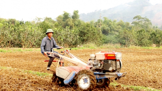 Hà Giang: Năm mới khí thế mới ở Bắc Quang