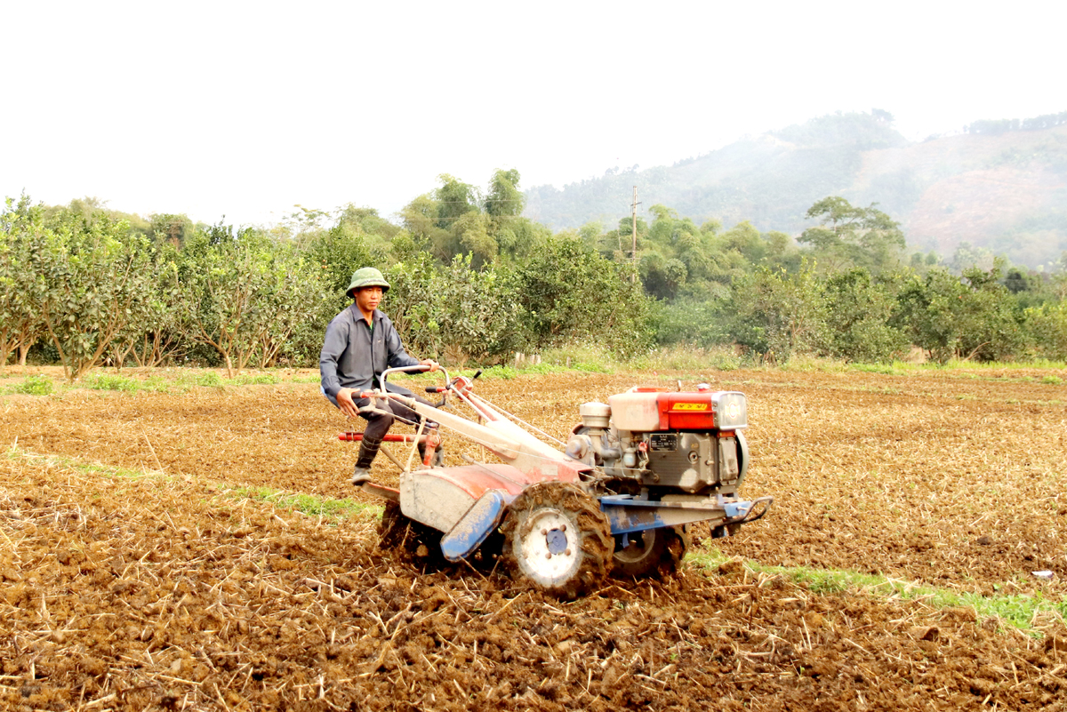 Hà Giang: Năm mới khí thế mới ở Bắc Quang