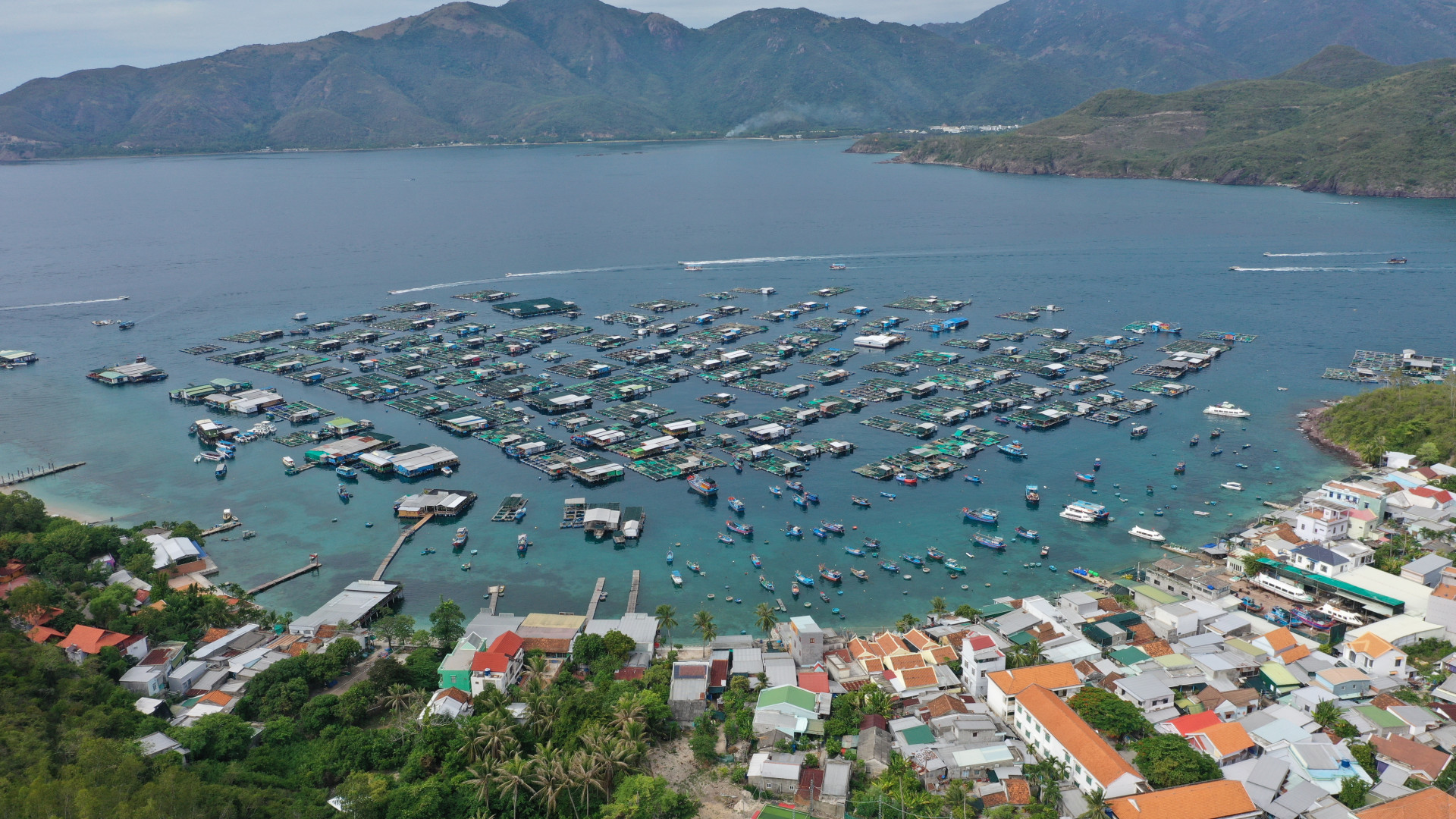 Khánh Hoà: Phục hồi vịnh đẹp toàn cầu Nha Trang