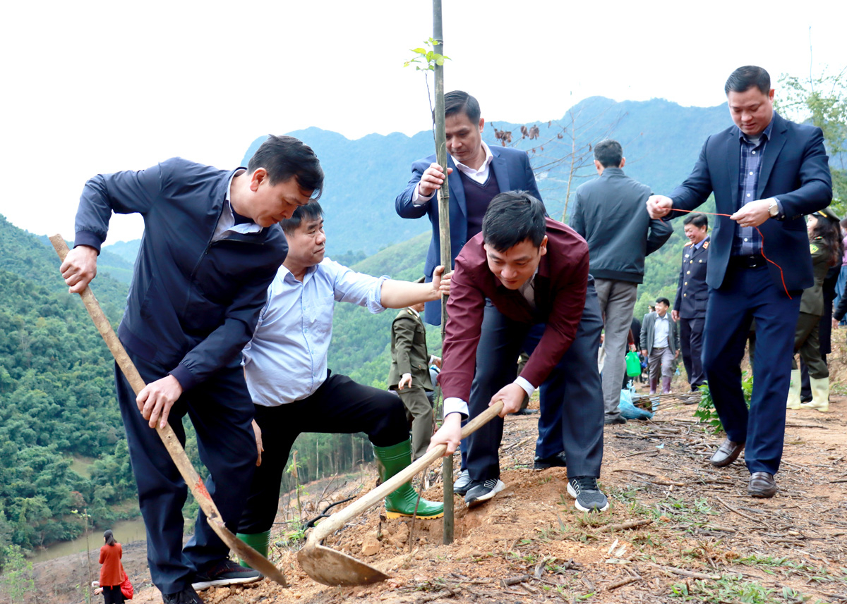 Hà Giang: Phát động Tết trồng cây “Đời đời nhớ ơn Bác Hồ” tại xã Ngọc Đường