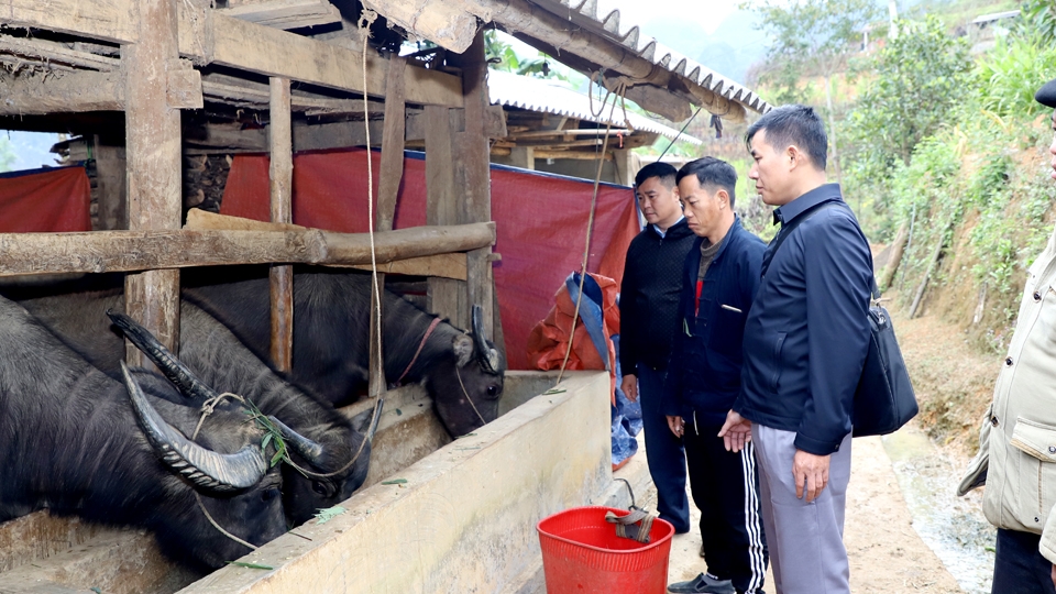 Hà Giang: Động lực giảm nghèo vùng đồng bào dân tộc thiểu số