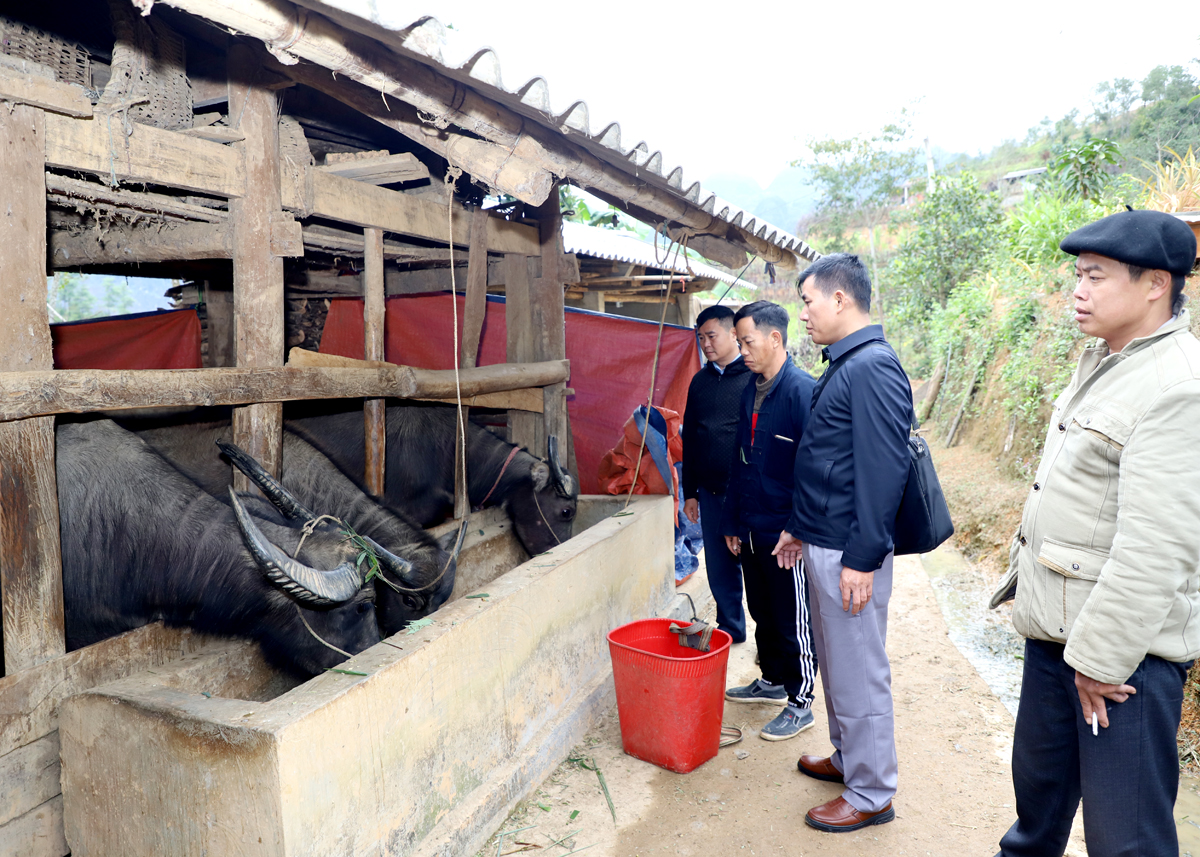 Hà Giang: Động lực giảm nghèo vùng đồng bào dân tộc thiểu số