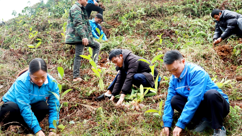 Hà Giang: Tết trồng cây, chung tay kiến tạo tương lai bền vững