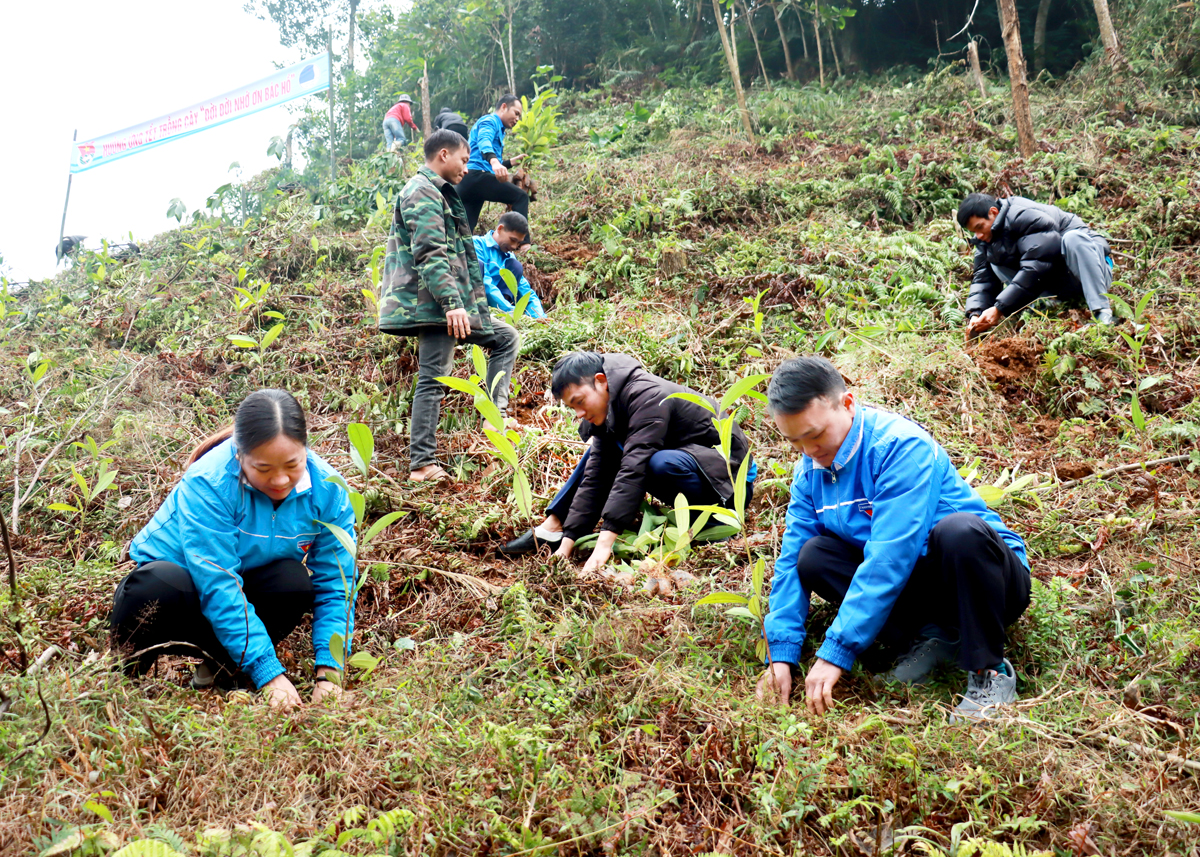 Hà Giang: Tết trồng cây, chung tay kiến tạo tương lai bền vững