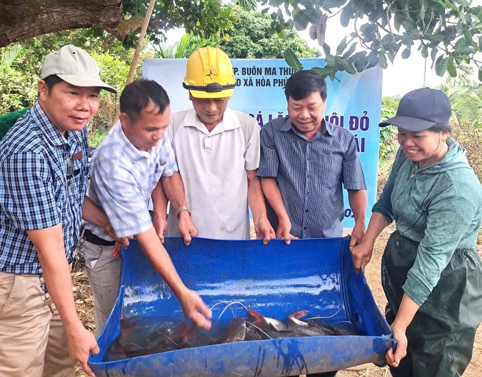 Thuần phục “thủy quái” trên sông Sêrêpốk