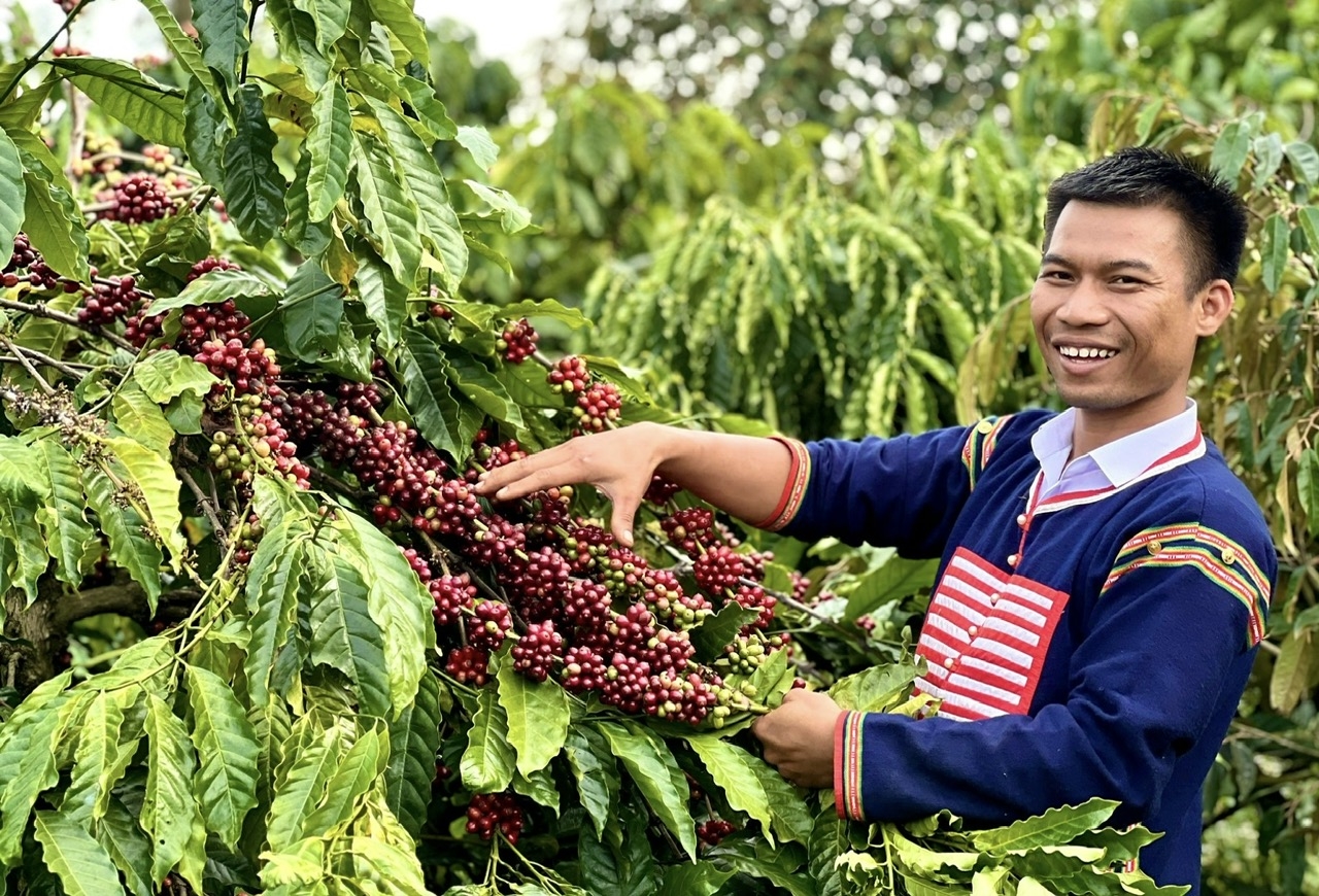 Chàng trai hiện thực ước mơ nâng tầm giá trị nông sản cho đồng bào Gia Rai