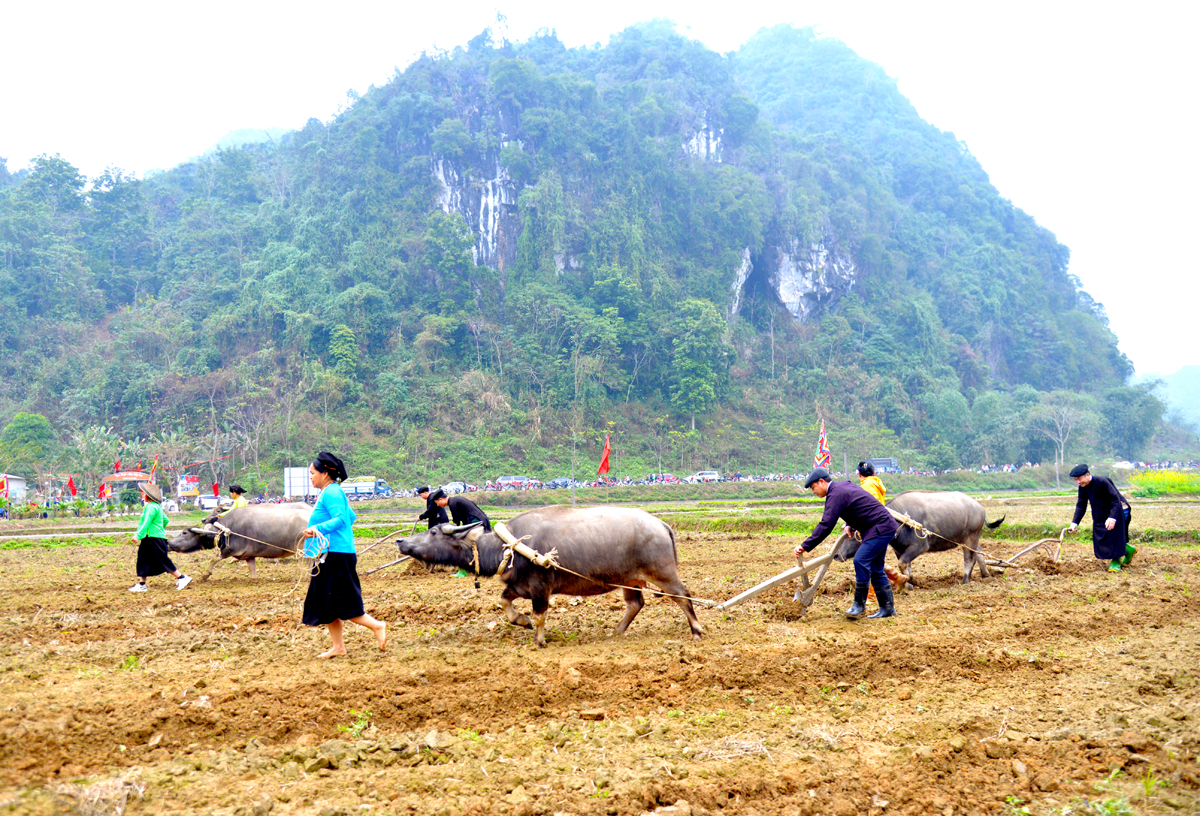 Hà Giang: Kỳ vọng vụ Xuân thắng lợi ở Quang Bình