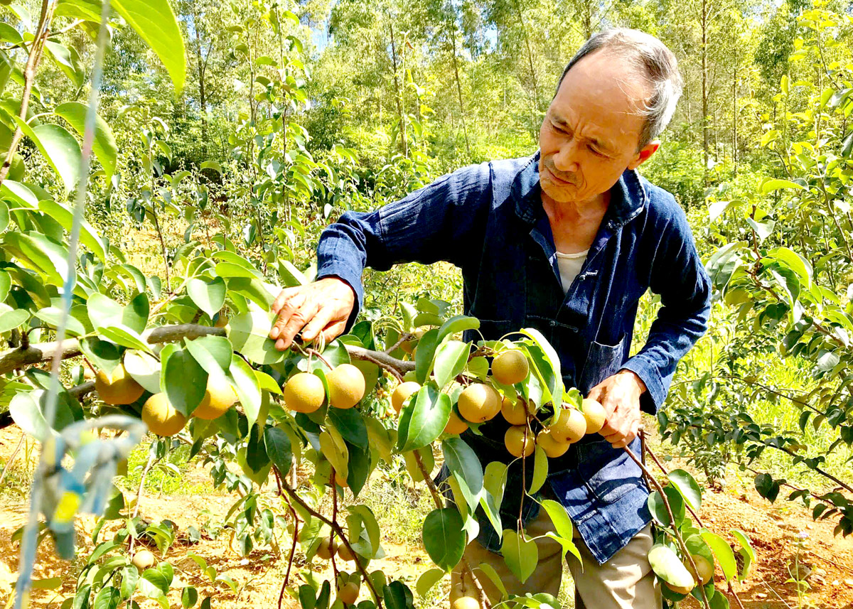 Hà Giang: Lời giải cho bài toán xóa bỏ hủ tục ở Đồng Văn