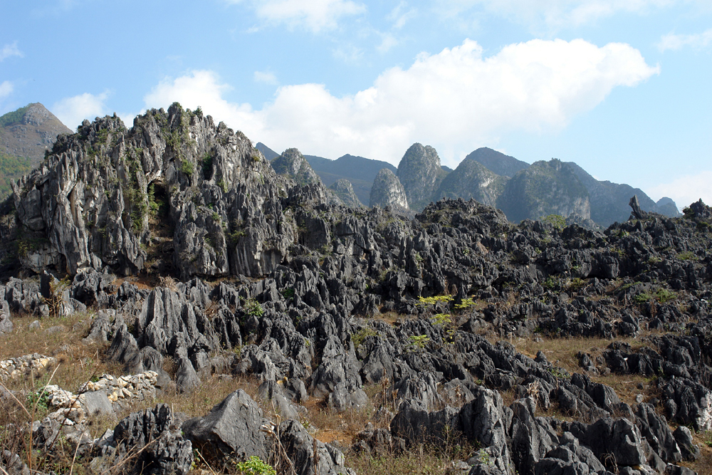 Hà Giang: Tháng Giêng miền đá