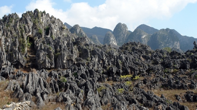 Hà Giang: Tháng Giêng miền đá