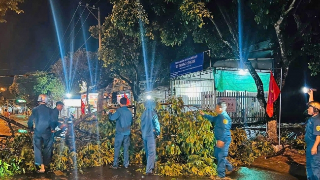 Lâm Đồng: Xung kích, tình nguyện vì cuộc sống cộng đồng