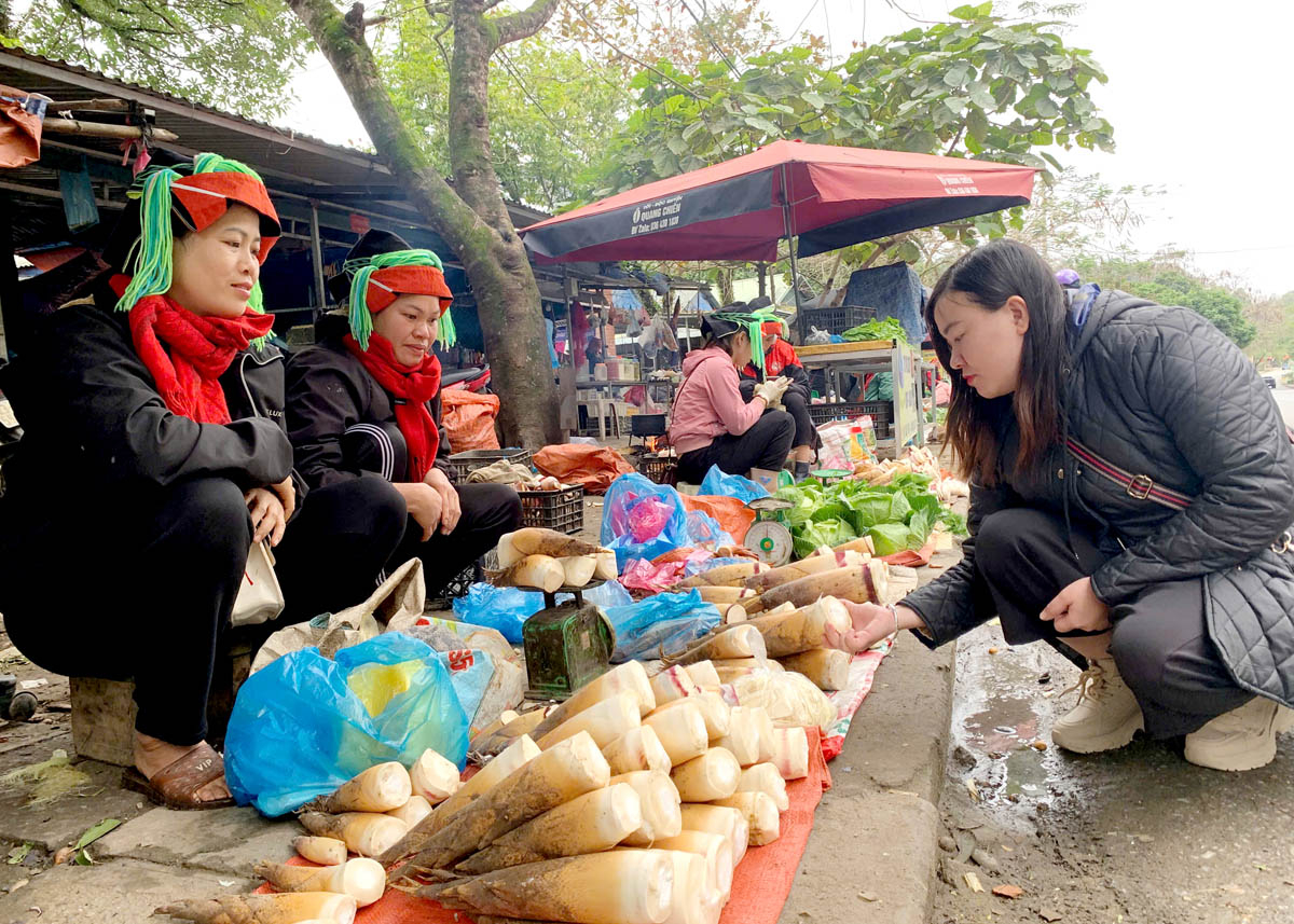 Hà Giang: Mùa măng đắng