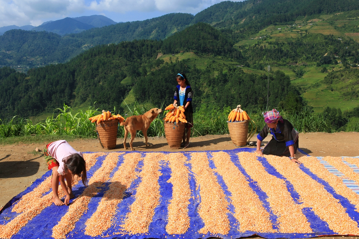 Lu cở   Biểu tượng văn hóa trong cuộc sống của phụ nữ Mông Tây Bắc