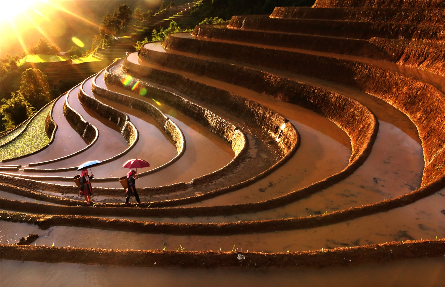 Lu cở   Biểu tượng văn hóa trong cuộc sống của phụ nữ Mông Tây Bắc