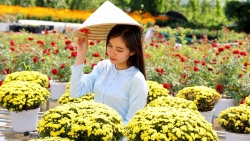 Giữ “hồn” hoa kiểng ở làng nghề trăm tuổi