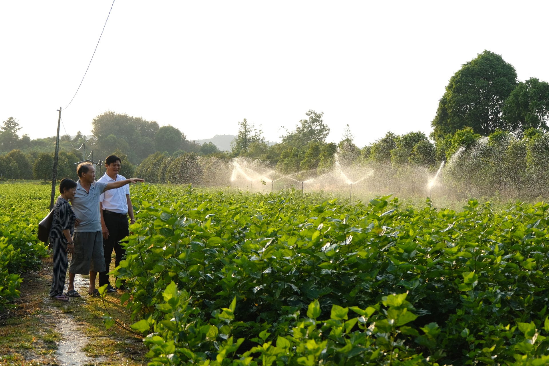 Lâm Đồng: Sử dụng đất đúng cách, sinh kế sẽ bền vững