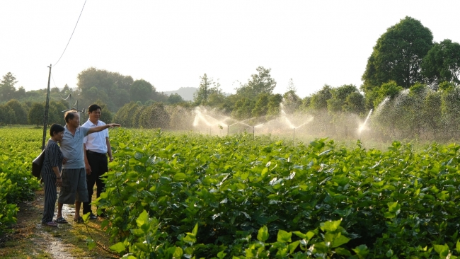 Lâm Đồng: Sử dụng đất đúng cách, sinh kế sẽ bền vững