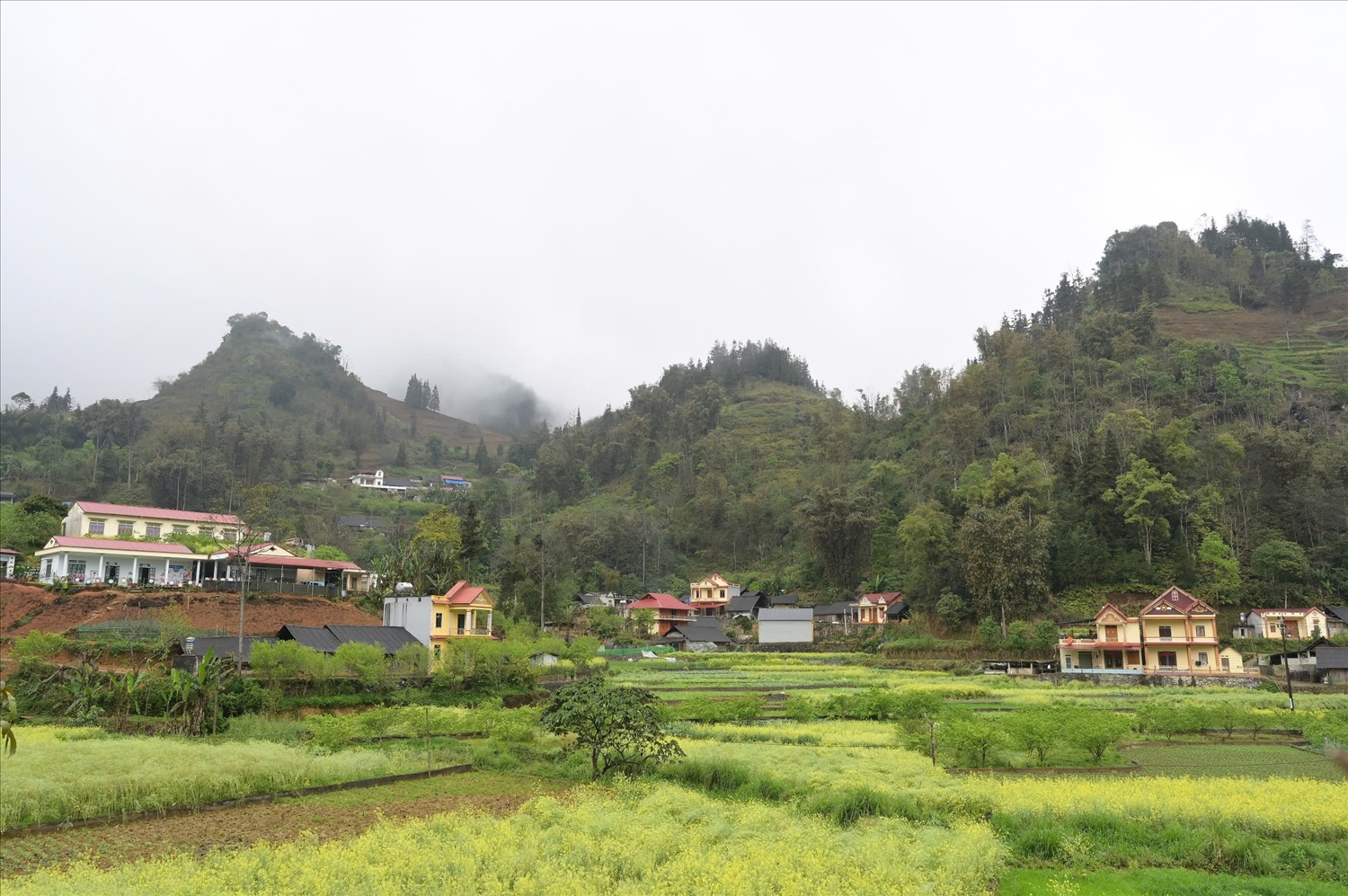 Tết này hộ nghèo ấm trong nhà mới