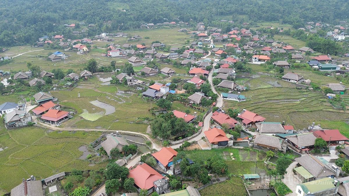 Tuyên Quang: Cá “tiến vua” ở bản làng người Tày