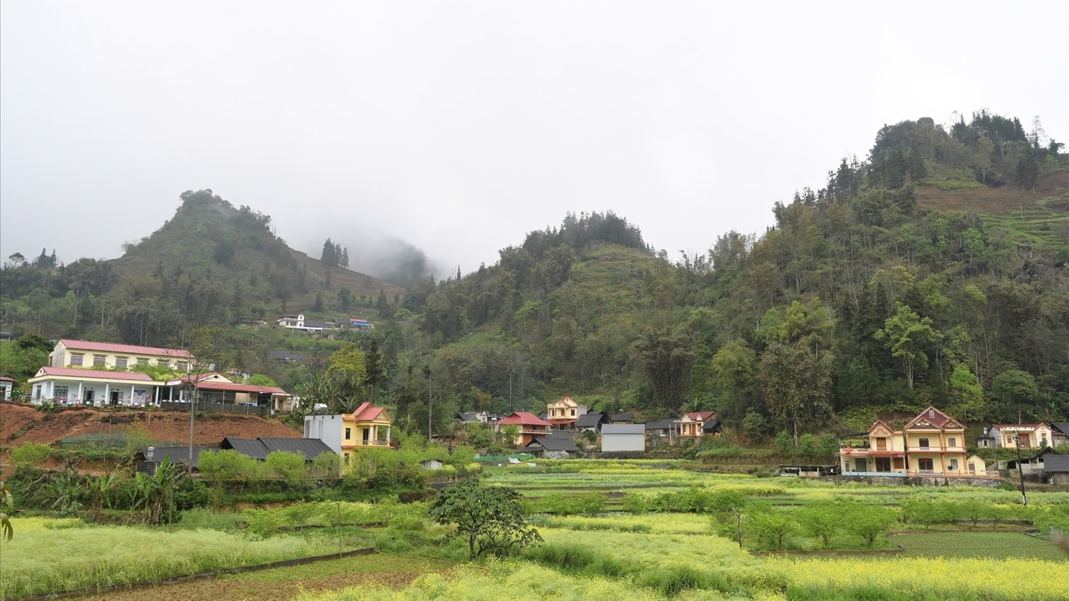 Tết này hộ nghèo ấm trong nhà mới