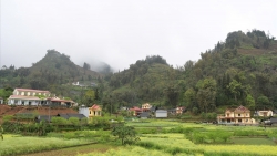 Tết này hộ nghèo ấm trong nhà mới