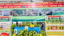 Lâm Đồng: Hội trại Mừng Đảng - Mừng Xuân xã Nam Thành