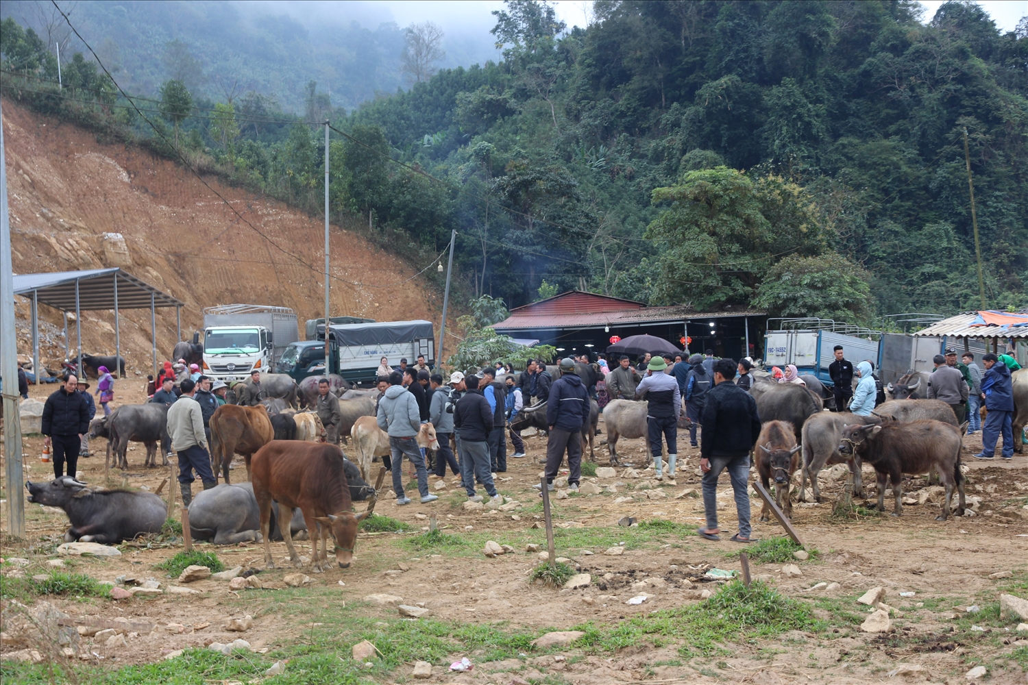 Rộn rã chợ phiên Cốc Ly cuối năm