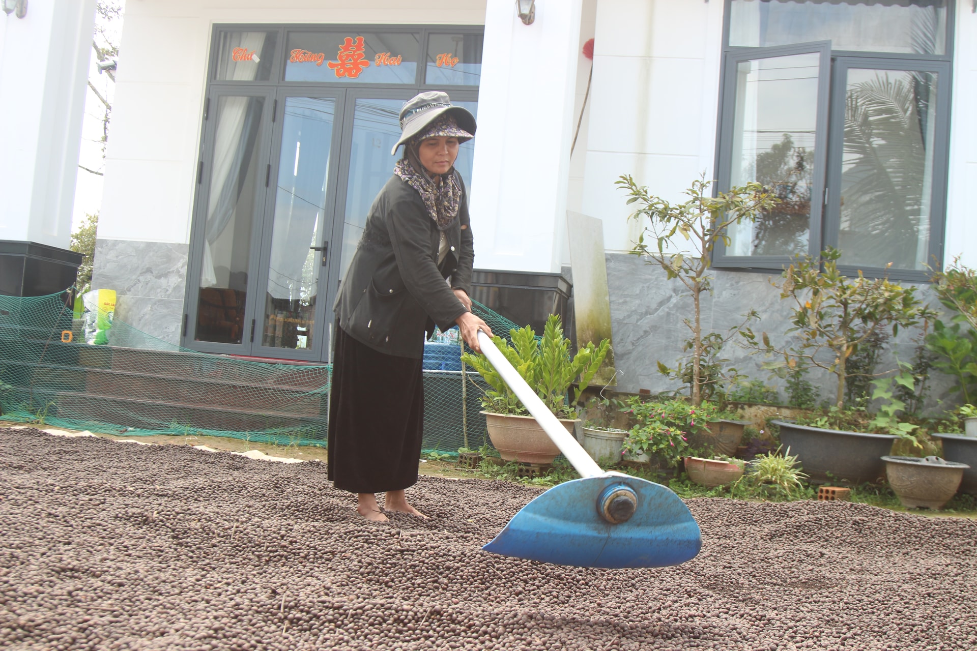 Giọt đắng... trên miền đất “ngọt”