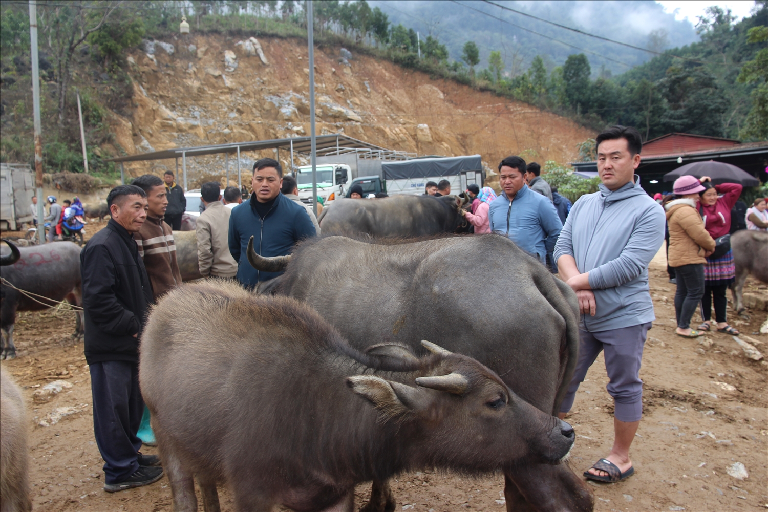 Rộn rã chợ phiên Cốc Ly cuối năm