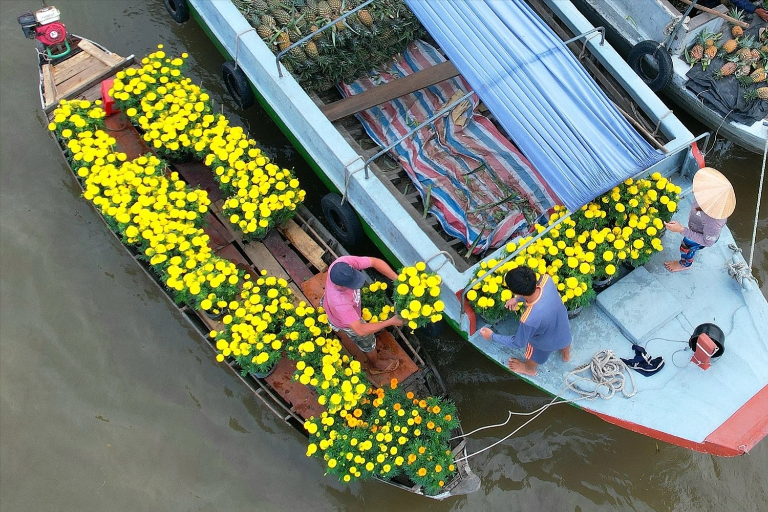 Tết đặc biệt ở chợ nổi Cần Thơ Tết đặc biệt ở chợ nổi Cần Thơ