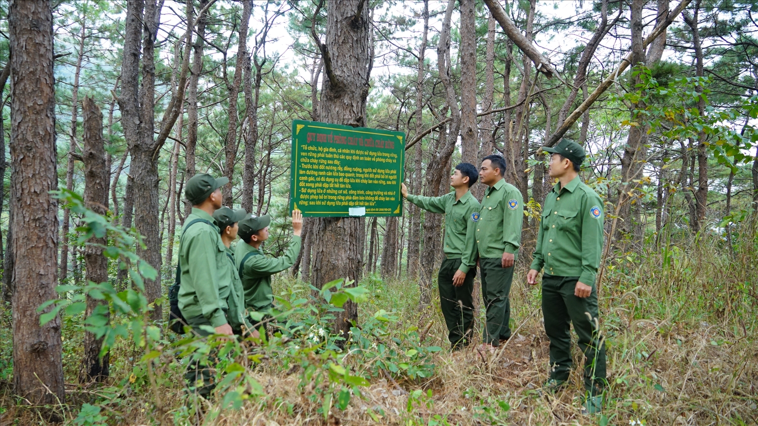 Những người “đón Tết" trong rừng
