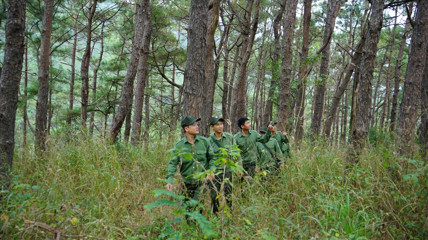 Những người “đón Tết" trong rừng