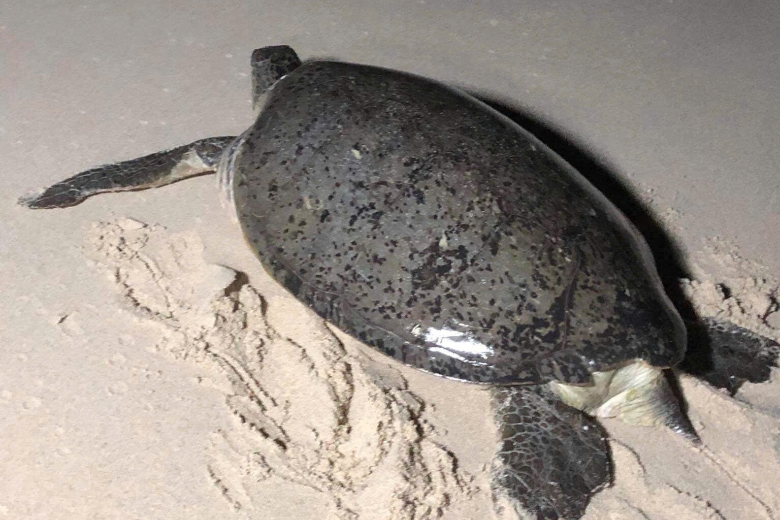 Lâm Đồng: Mùa xuân ở Hòn Cau bắt đầu từ biển Lâm Đồng: Mùa xuân ở Hòn Cau bắt đầu từ biển