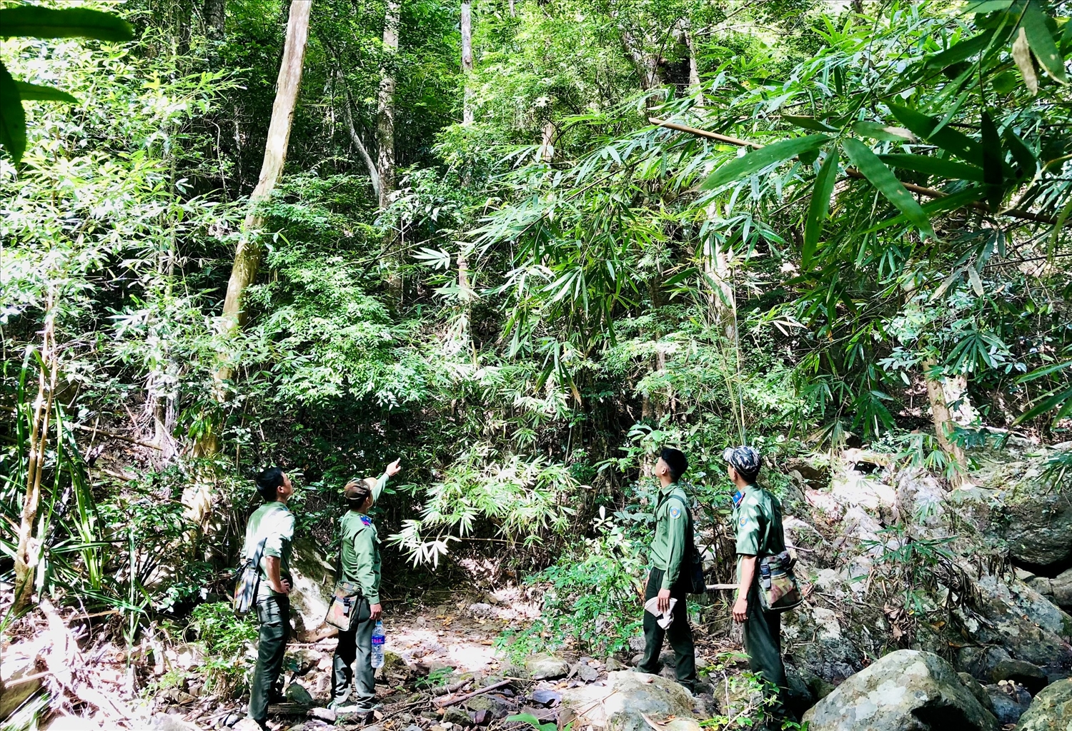 Những người “đón Tết" trong rừng