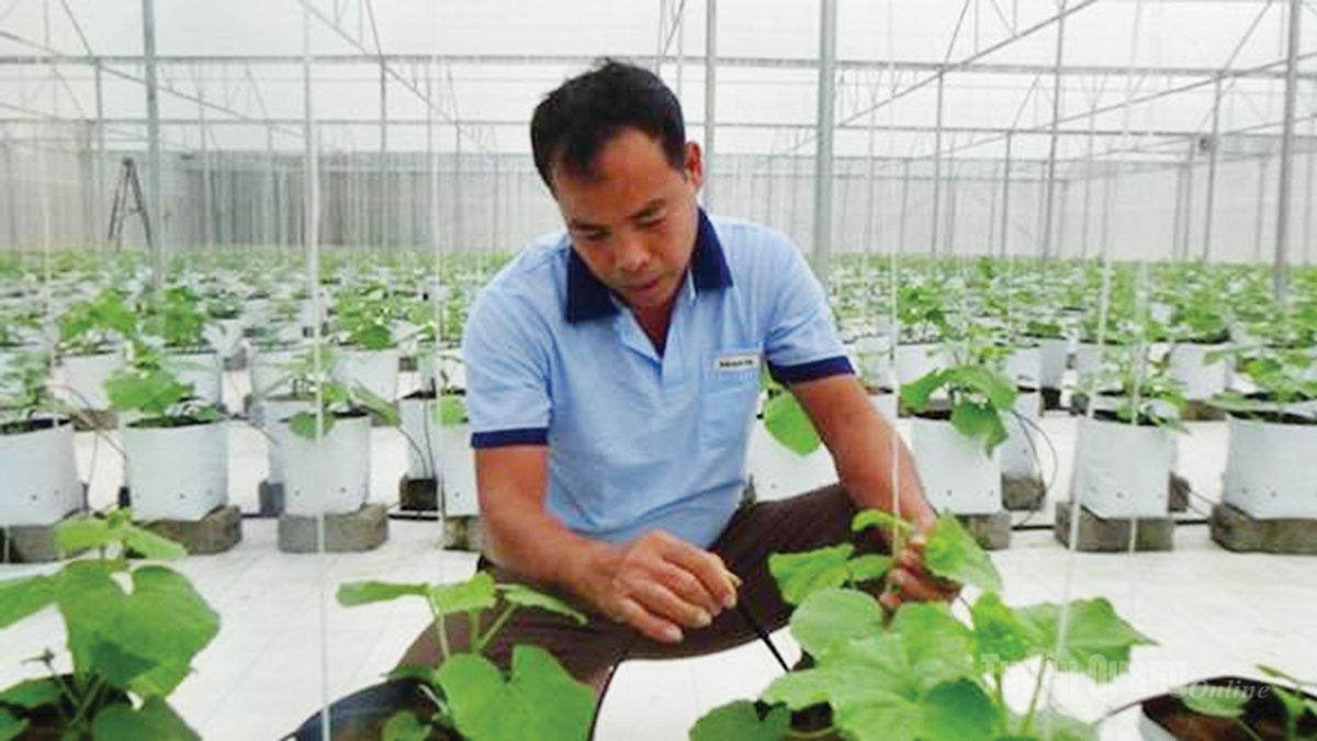 Tuyên Quang: Tuần hoàn để tái sinh những giá trị