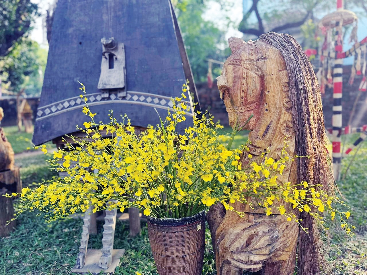 Lâm Đồng: Mùa xuân theo vó ngựa