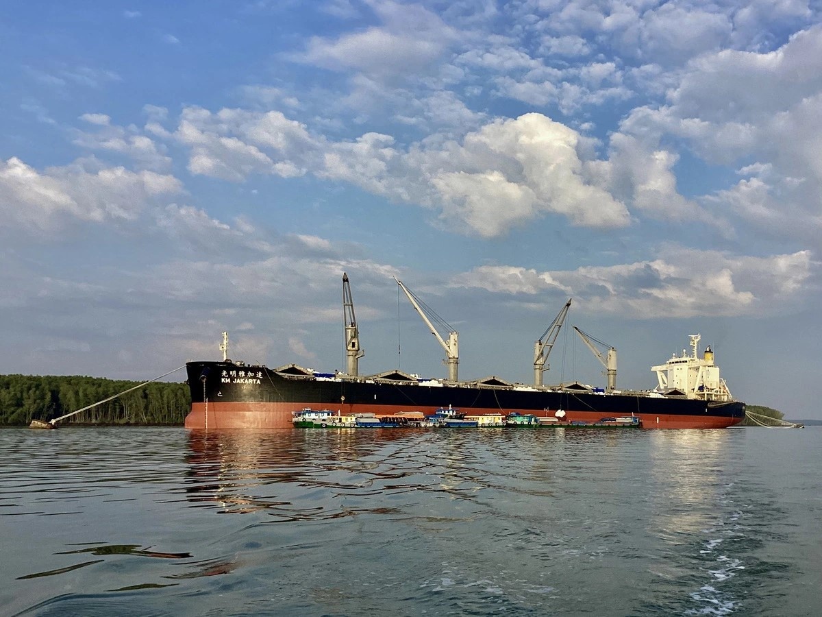 PVCFC đẩy mạnh xuất nhập khẩu năm 2026: Hoàn thiện hệ sinh thái sản phẩm, mở rộng thị trường toàn cầu