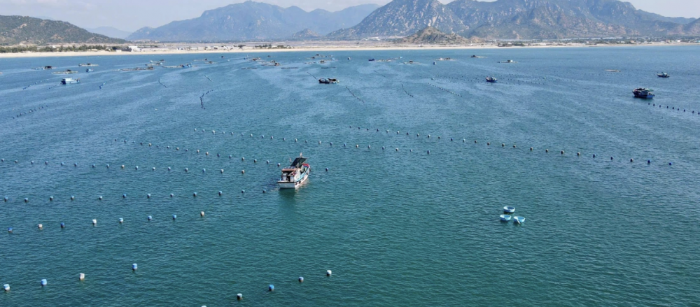 Khánh Hoà: Khát vọng biển lớn Khánh Hoà: Khát vọng biển lớn